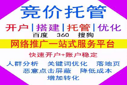 百度竞价入门必看：实操技巧与成功案例